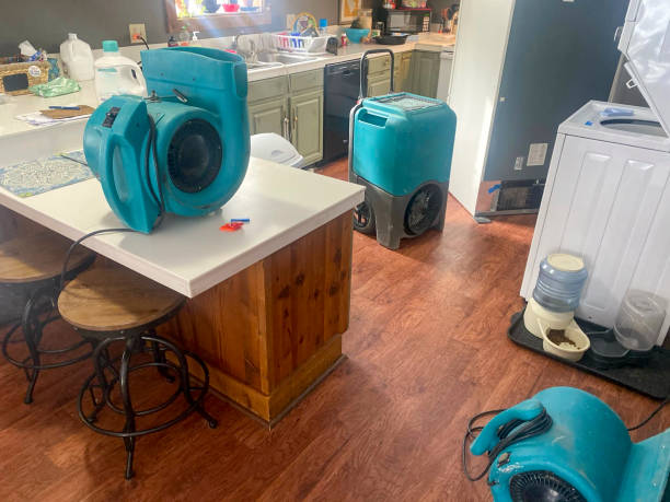 Best 24-hour water damage restoration  in Tekamah, NE