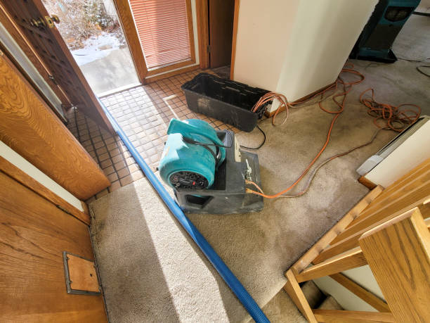 , NE Water damage restoration Company