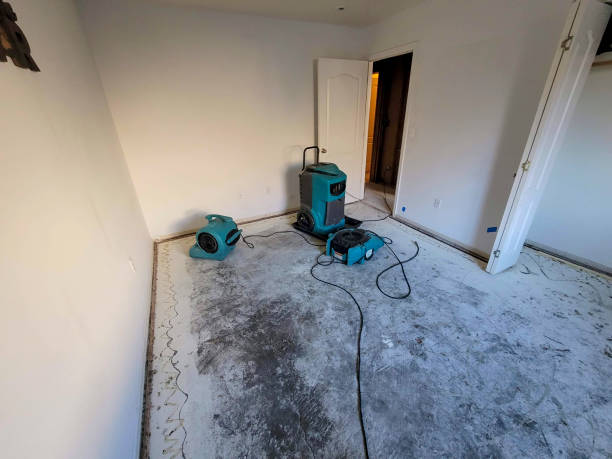 Best Flooded house restoration  in Tekamah, NE