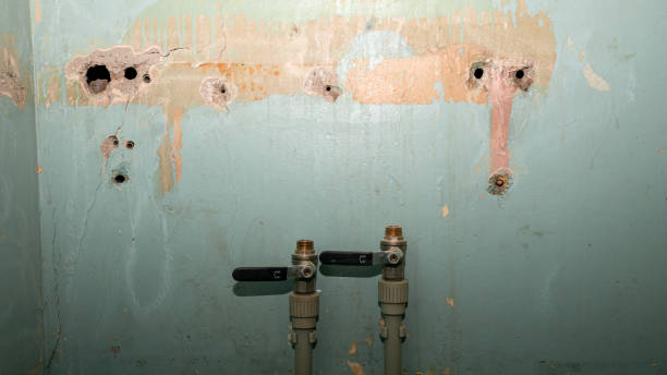 Best Mold removal after water damage  in Tekamah, NE